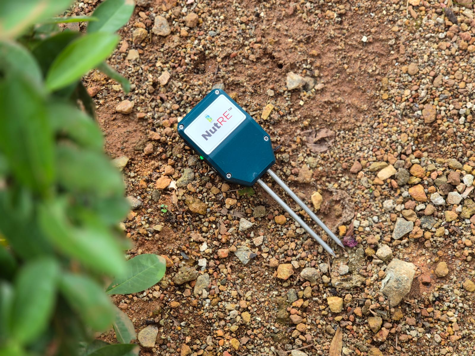 NutRE™ inserted into soil at tree base
